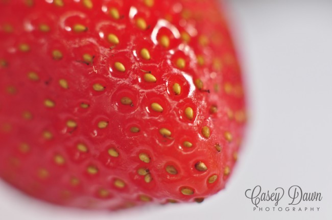 Macro Photo of a Strawberry by Casey Dawn Photography