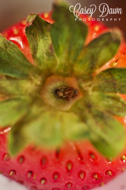 Macro Photo of a Strawberry by Casey Dawn Photography