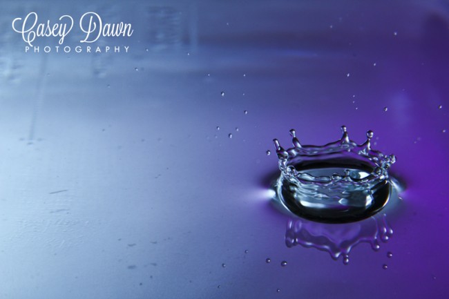 Macro water droplet photo taken by Casey Dawn Photography