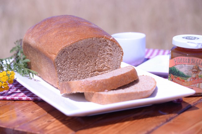 Honey Whole Wheat Bread Outdoors-8