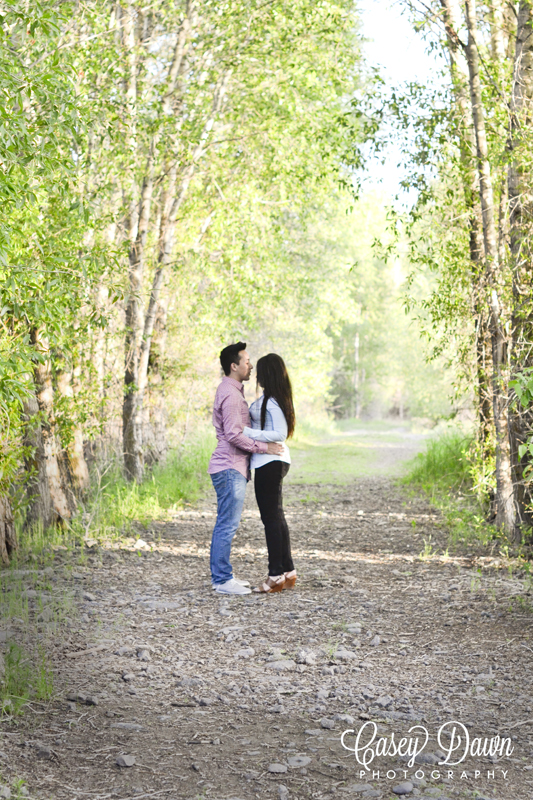 Engagement & Anniversary Pictures